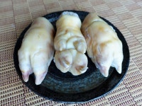 肉の竹田屋 - 鳳/その他 | 食べログ 肉の竹田屋 (鳳/その他)
