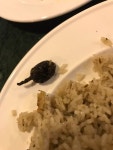 ぼんかれーGさんが投稿したインターナショナルビレッジ（愛知/飛島村その他）の口コミ詳細 [食べログ] インターナショナルビレッジ