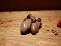 cricketerさんが投稿したまんてん鮨 丸の内（東京/二重橋前）の口コミ詳細 [食べログ] まんてん鮨 丸の内