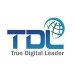 블라인드 | 티디엘 기업정보