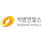 블라인드 | 빅뱅엔젤스 기업정보