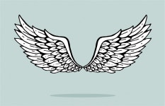 UK investors band together to survey Angels on their strategy during COVID-19 | TechCrunch