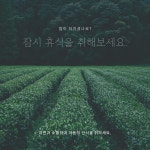 자연 무료 이미지・디자인・샘플・템플릿 - Canva(캔바)