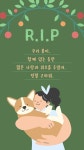 2페이지 - 강아지 무료 이미지・디자인・샘플・템플릿 - Canva(캔바)