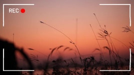 유튜브 동영상 만들기 | 무료 동영상 편집기 | Canva(캔바)