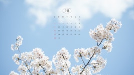 4페이지 - 컴퓨터 배경화면 무료 템플릿 - 저작권 걱정 없는 디자인 | 캔바 Canva