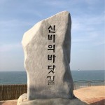 여행기 | 홍굴이 캐러 서해안 무창포로 갔어요!! (+홍굴이 축제)