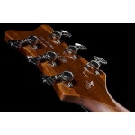 Gretsch G6134TFM-NH Nigel Hendroff AF – Thomann Ireland Gretsch G6134TFM-NH Nigel Hendroff AF