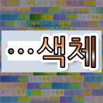 국어사전에서 🌾색체로 끝나는 단어는 31개