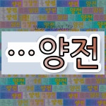 국어사전에서 🌾양전으로 끝나는 단어는 19개