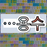 국어사전에서 🌾용수로 끝나는 단어는 22개
