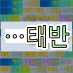 국어사전에서 🌾태반으로 끝나는 단어는 9개