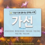 국어사전에서 🌾가선으로 끝나는 단어는 6개