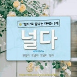 국어사전에서 🌾널다로 끝나는 단어는 5개
