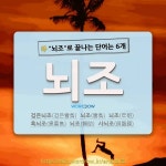 국어사전에서 🌾뇌조로 끝나는 단어는 6개