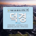 국어사전에서 🌾덕경으로 끝나는 단어는 5개