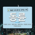 국어사전에서 🌾동륜으로 끝나는 단어는 5개