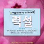 국어사전에서 🌾력설로 끝나는 단어는 14개