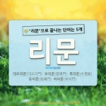 국어사전에서 🌾리문으로 끝나는 단어는 5개