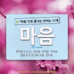 국어사전에서 🌾마음으로 끝나는 단어는 17개
