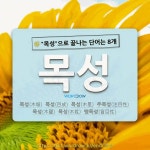 국어사전에서 🌾목성으로 끝나는 단어는 8개