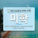 국어사전에서 🌾미학으로 끝나는 단어는 22개