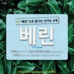국어사전에서 🌾베린으로 끝나는 단어는 8개