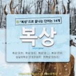 국어사전에서 🌾복상으로 끝나는 단어는 14개