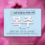 국어사전에서 🌾복주로 끝나는 단어는 9개