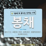 국어사전에서 🌾봉채로 끝나는 단어는 5개