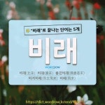 국어사전에서 🌾비래로 끝나는 단어는 5개