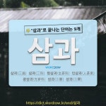 국어사전에서 🌾삼과로 끝나는 단어는 9개