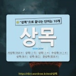국어사전에서 🌾상목으로 끝나는 단어는 10개