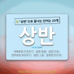 국어사전에서 🌾상반으로 끝나는 단어는 20개