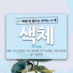 국어사전에서 🌾색체로 끝나는 단어는 31개