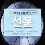 국어사전에서 🌾선문으로 끝나는 단어는 21개