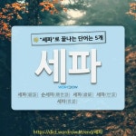국어사전에서 🌾세파로 끝나는 단어는 5개