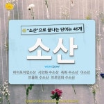국어사전에서 🌾소산으로 끝나는 단어는 46개