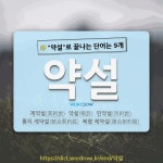 억수네쌀 | 국어사전에서 🌾"약설"로 끝나는 단어는 9개