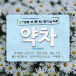 국어사전에서 🌾약차로 끝나는 단어는 6개