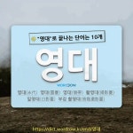 국어사전에서 🌾영대로 끝나는 단어는 10개