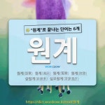 국어사전에서 🌾원계로 끝나는 단어는 6개