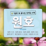 국어사전에서 🌾원호로 끝나는 단어는 9개