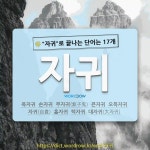 국어사전에서 🌾자귀로 끝나는 단어는 17개