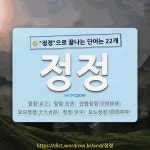 국어사전에서 🌾정정으로 끝나는 단어는 22개