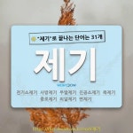 국어사전에서 🌾제기로 끝나는 단어는 31개