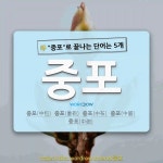 국어사전에서 🌾중포로 끝나는 단어는 5개