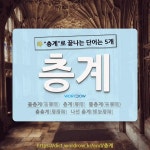 국어사전에서 🌾층계로 끝나는 단어는 5개