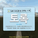 국어사전에서 🌾토록으로 끝나는 단어는 11개