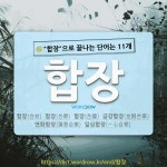 국어사전에서 🌾합장으로 끝나는 단어는 11개